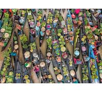 Ravensburger Mercato galleggiante Indonesia Puzzle da 500 pezzi per adulti