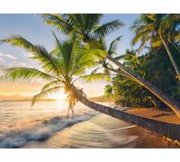 Ravensburger 12000693 - Segreto della spiaggia - puzzle 1500 pezzi - puzzle adulti e ragazzi da 14 anni, puzzle spiaggia