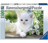 PUZZLE ANIMALI RAVENSBURGER GATTI GATTINO BIANCO 1500 PZ