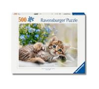 Ravensburger Puzzle 500 Pezzi Dolce Gattino - Puzzle Adulti +14 anni, 49 x 36 cm, Puzzle per Adulti Animali, Collezione Puppies, Idee Regalo