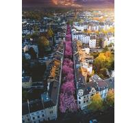 Ravensburger Puzzle da 1500 Pezzi - Bonn in Fiore