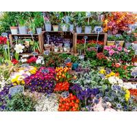 Ravensburger Puzzle 12001815 - Flower Market, Francia - Puzzle fotografico da 500 pezzi della serie «Colorful Markets», per adulti e bambini dai 12 anni in su