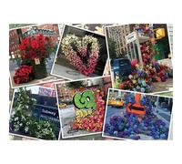 ravensburger Puzzle Flowers in New York 1000 pezzi 1 St