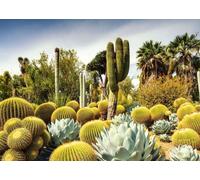 Ravensburger - Puzzle Giardini bellissimi: Huntington Garden, USA - 1000 Pezzi