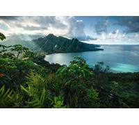 Ravensburger - Puzzle Hawaiian Viewpoint - 5000 Pezzi