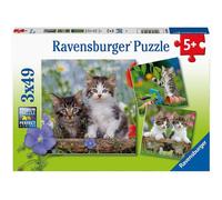 ravensburger Puzzle kätzchen 3x49 pezzi 1 St