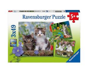 ravensburger Puzzle kätzchen 3x49 pezzi 1 St