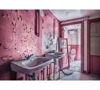 Ravensburger - Puzzle Luoghi perduti: Sogni rosa II - 1000 Pezzi