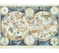 RAVENSBURGER 160037 PUZZLE 1000 PEZZI MAPPA DEL MONDO DI ANIMALI FANTASCTICI