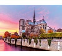 Ravensburger Puzzle Notre Dame Pittoresque 1500 pezzi