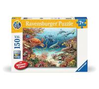 Ravensburger 13411 - Animali marini sulla barriera corallina - Wieso Perché Perché Puzzle 150 pezzi XXL + poster della conoscenza, per bambini dai 7 anni