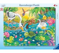 Ravensburger - Puzzle per bambini - Puzzle con cornice 30-48 pezzi - Estate in stagno - Ragazza o ragazzo dai 4 anni - Puzzle di alta qualità - Cartone spesso e resistente - 12004151