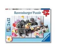 Ravensburger Puzzle Cuccioli adorabili – 2x12 pezzi – Età 3+ anni