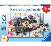 Puzzle cuccioli adorabili 2x12 pezzi