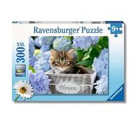 Puzzle con gattino XXL 300 pezzi