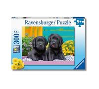 Ravensburger Puzzle Vita da Cucciolo – 300 pezzi, 49 x 36 cm, 9+ anni (12950)