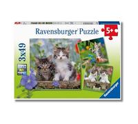 Puzzle Gattini 3x49 pezzi Ravensburger