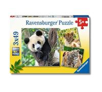 Puzzle Panda, Tigre e Leone
