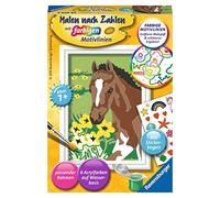 Ravensburger Painting by Numbers - Puledro (CONFEZIONE E ISTRUZIONI IN TEDESCO) - 1 pz.