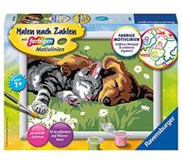 Ravensburger Spieleverlag Tiefer Schlaf. Malen nach Zahlen® Serie E - NUOVO