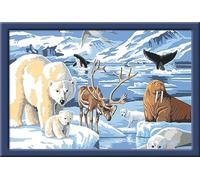 Ravensburger Spieleverlag Tiere der Arktis Malen nach Zahlen Serie C