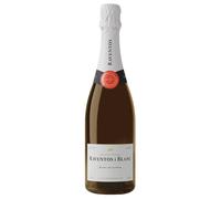 Raventós i Blanc Blanc de Blancs Conca del Riu Anoia DO 2021 0,75 l