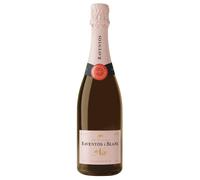 Raventós i Blanc de Nit Conca del Riu Anoia DO Rosé 2022 0,75 ℓ