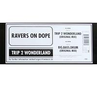 Ravers on Dope - Trip 2 Wonderland