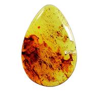 Ravishing Impressions Cabochon di ambra naturale del Mar Baltico, a forma di pera, dimensioni: 43 x 30 x 5 mm, ambra liscia e lucidata, pietre semipreziose, resina di ambra fossilizzata, gemma e ambra