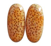 Ravishing Impressions Cabochon naturale in diaspro di palma della Louisiana, dimensioni: 23 x 11 x 14 mm, fabbricazione di gioielli, legno pietrificato, questa pietra è una meravigliosa pietra per la