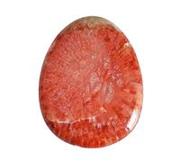 Ravishing Impressions Corallo rosso naturale 20 CTW Cabochon Dimensioni 26 x 21 x 3,5 mm Ciondolo Gioielli Gioielli Pietra preziosa Sua cura del sistema muscolo/scheletrico, Gemma, Corallo rosso