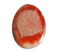 Ravishing Impressions Utah 27 CTW - Cabochon naturale in corno rosso, dimensioni: 29 x 22 x 4 mm, per la creazione di gioielli, da utilizzare per liberare negatività, Gemma, corallo rosso