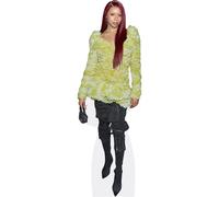 Ravyn Lenae (Green Top) mini formato