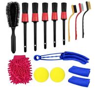 Ravytha 15 Pezzi Kit Pulizia Auto Moto, Guanto Lavaggio Auto, Spazzola Cerchi, Pennelli Detailing, Spazzole Cerchioni, Panni in Microfibra, per Interni, Esterni, Ruote, Motore, Finestrini