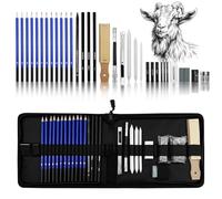 Ravytha Kit Artistico Con Matite a Carboncino, Matita di Grafite Senza Legno, Carboncini, Temperamatite e Gomme, Con Custodia Cernierata di Trasporto per Principianti Bambini,per Artisti,Studenti