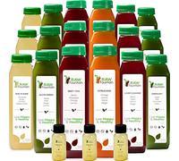 Raw Fountain 5 Day Juice Cleanse , All Natural Juice Detox Cleanse, programma di gestione del peso, spremuto a freddo frutta e verdura succhi di frutta, gustoso ed energizzante, 30 bottiglie 12 once