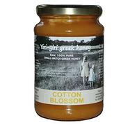 Raw Miele greco 100% puro - Fiore di cotone 480 g - dal villaggio di Larissa.