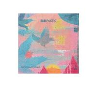 RAW POETIC AND DAMU THE FUDGEMUNK - LAMINATED SKIES (SPEARMINT GREEN)