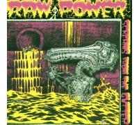 Raw Power - Screams from./After Your Brain