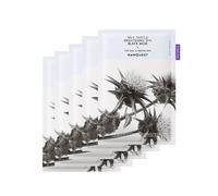 RAWQUEST - Milk Thistle Brightening SPA Black Mask Set 5 pcs
