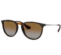 Ray-Ban 0RB4171 Occhiali da Sole, Marrone (Havana/Gunmetal), 54 Uomo
