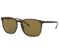 Ray-Ban 0RB4387 Occhiali da Sole, Marrone (Havana), 55 Uomo