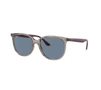 Occhiali da Sole Ray-Ban RB4378 65722V Grigio Trasparente