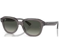 Ray-Ban Erik RB4398 C51 667571