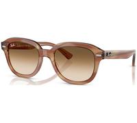 Ray-Ban Erik RB4398 C53 140351