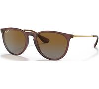 Ray-Ban Erika RB4171 C54 6593T5