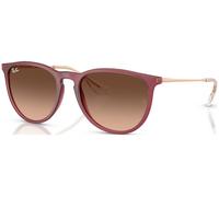Ray-Ban Erika RB4171 C54 6815A5