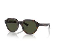 Ray-Ban Gina RB 4399 (902/31)