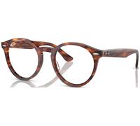 Ray-Ban Larry RX7680V C49 2144