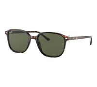 RAY-BAN - LEONARD - RB2193 - 902/31 - 53